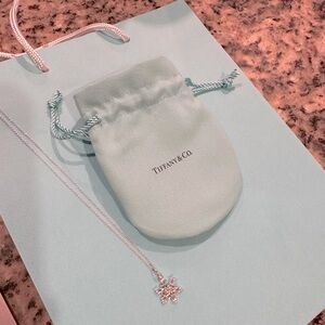 Tiffany & Co. Snowflake Necklace w/ Chain